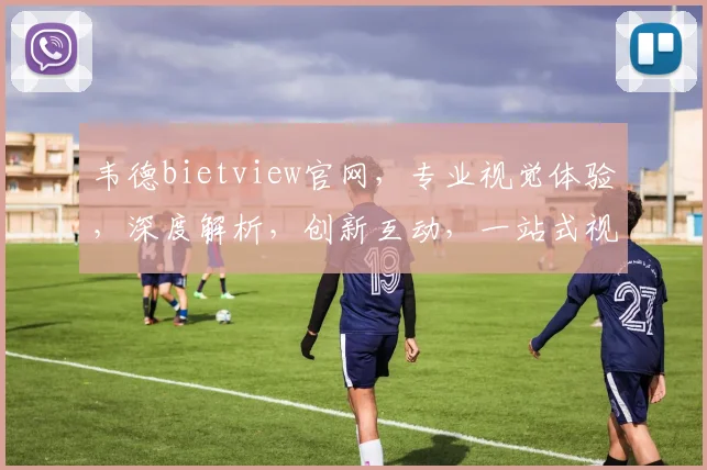 韦德bietview官网，专业视觉体验，深度解析，创新互动，一站式视觉解决方案，助您视觉盛宴