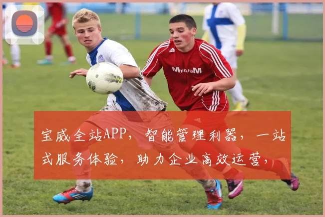 宝威全站APP，智能管理利器，一站式服务体验，助力企业高效运营，必看攻略