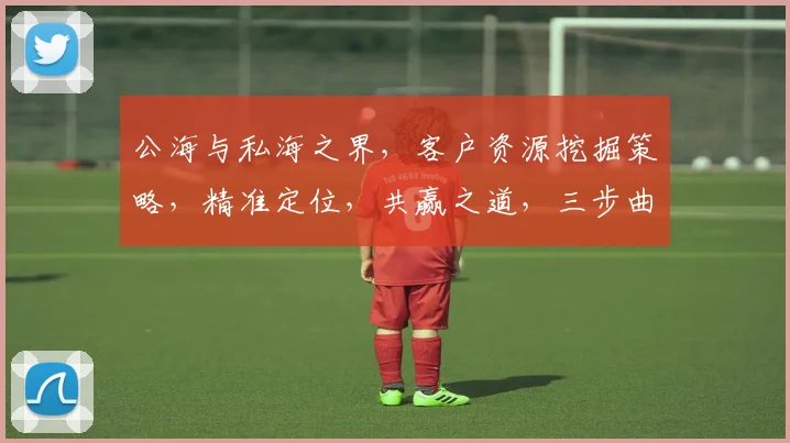 公海与私海之界，客户资源挖掘策略，精准定位，共赢之道，三步曲。
