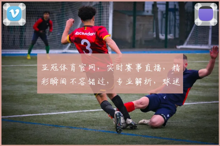 亚冠体育官网，实时赛事直播，精彩瞬间不容错过，专业解析，球迷必备